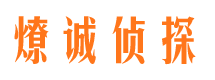 乌伊岭资产调查